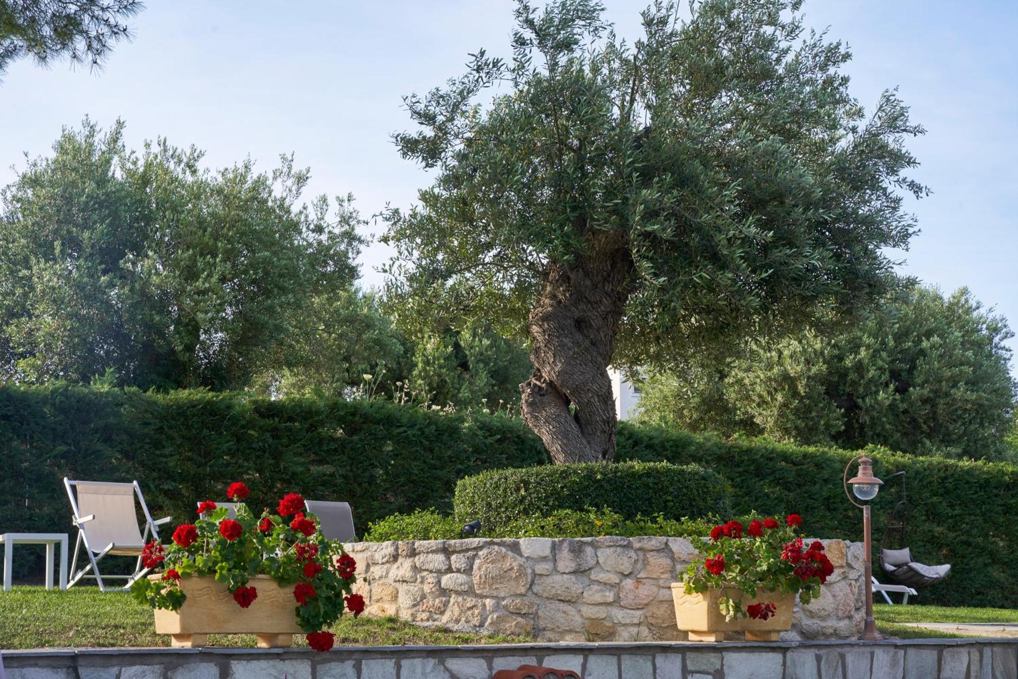 Mirabilia Boutique Hotel 3*